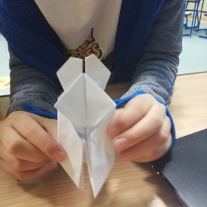 pokaż obrazek - Sztuka origami